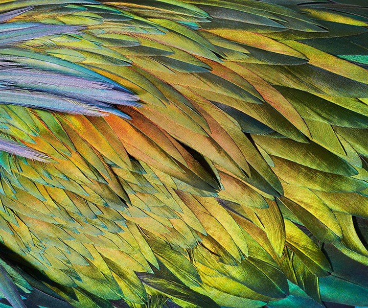 گالری عکس‌های خلاقانه تیم فلچ از بریتانیا