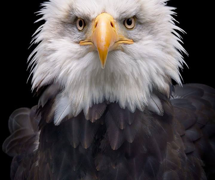 گالری عکس‌های خلاقانه تیم فلچ از بریتانیا