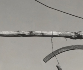 گالری عکس‌های ادوارد وستون از آمریکا