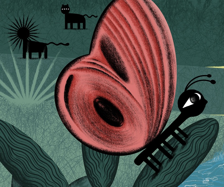 گالری تصویرسازی‌های کاتریل مارتینز از آرژانتین