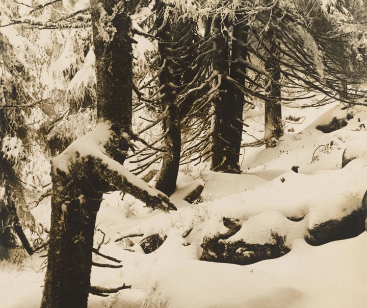 گالری آثار عکاسی آلبرت رنگر-پاتش از آلمان