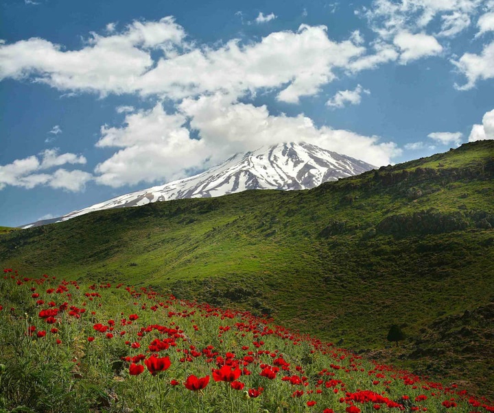 گالری عکس های نیما جبرائیلی از ایران