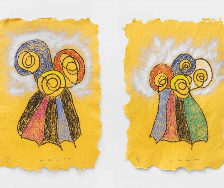 گالری تصویرسازی‌های تادسکیا از برزیل