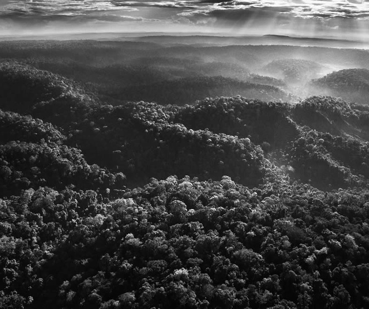 گالری آثار عکاسی سباستین سالگادو از برزیل