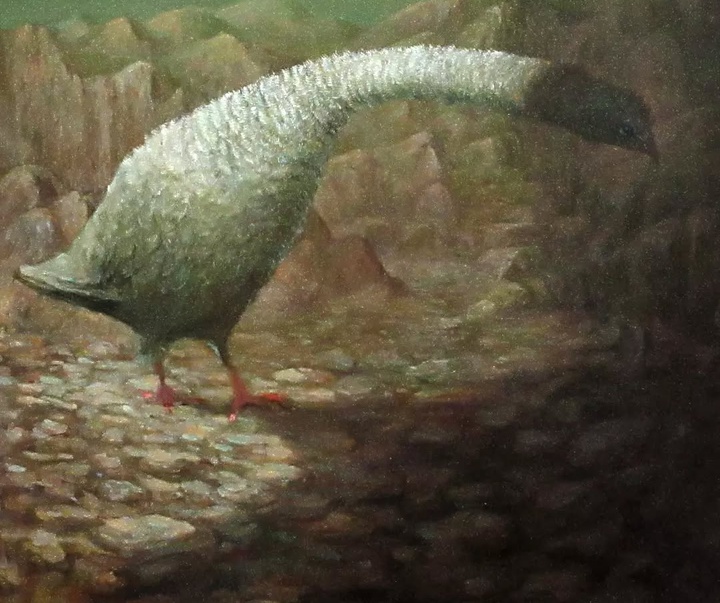 گالری نقاشی‌های لولا ماری از آرژانتین