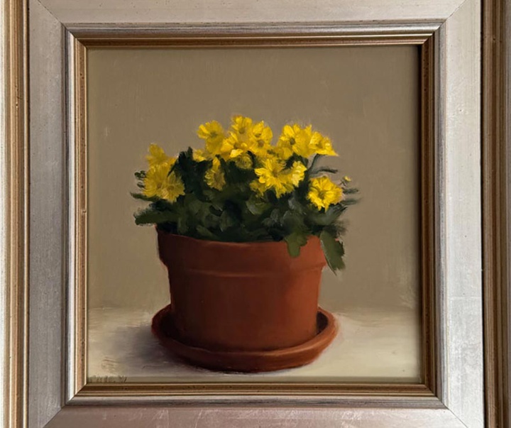 گالری نقاشی های پم اکلی از آمریکا