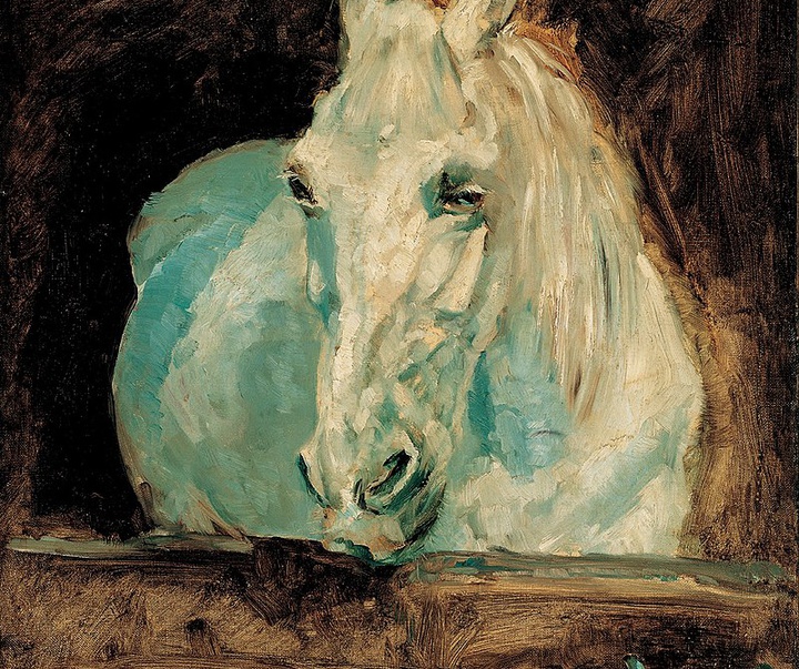 henri toulouse lautrec the white horse gazelle