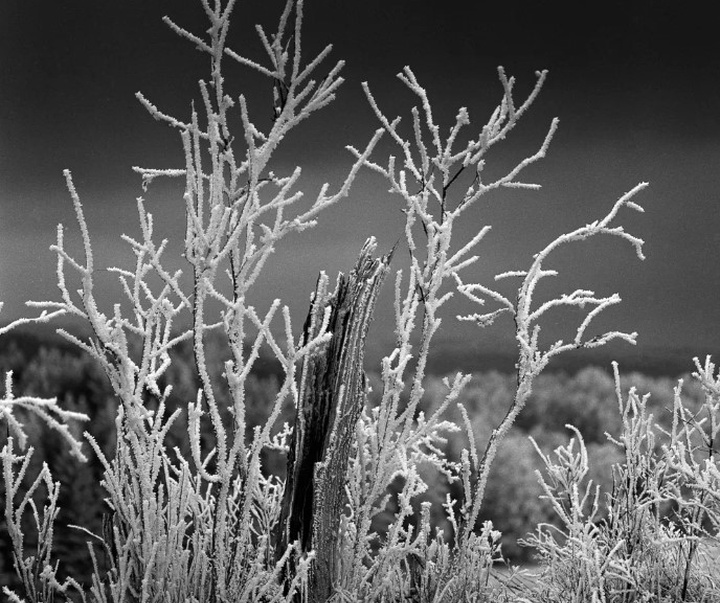 گالری آثار عکاسی مایک سایدل از آلمان