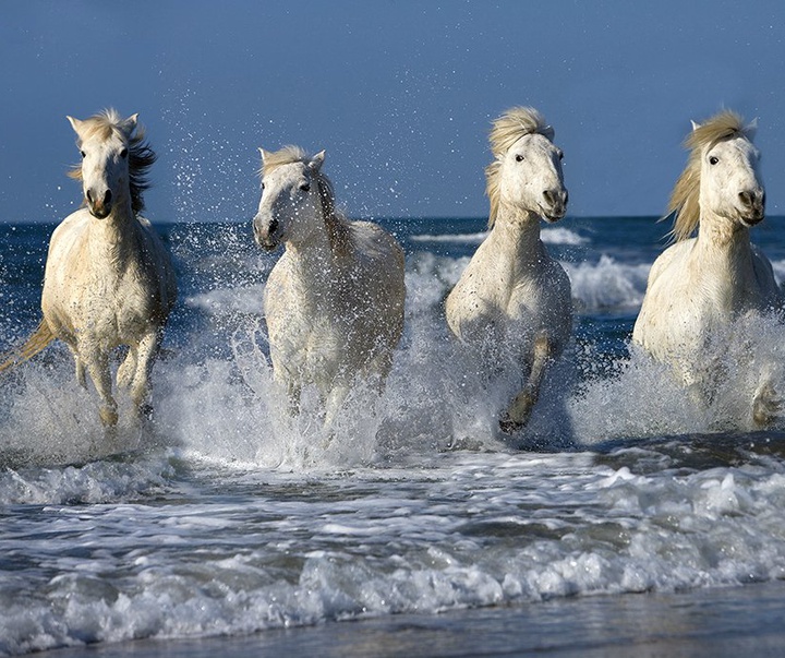 گالری آثار عکاسی جیم زاکرمن از برزیل - قسمت دوم