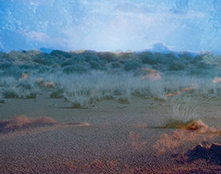 گالری آثار عکاسی آلیس زیلبربرگ از کانادا