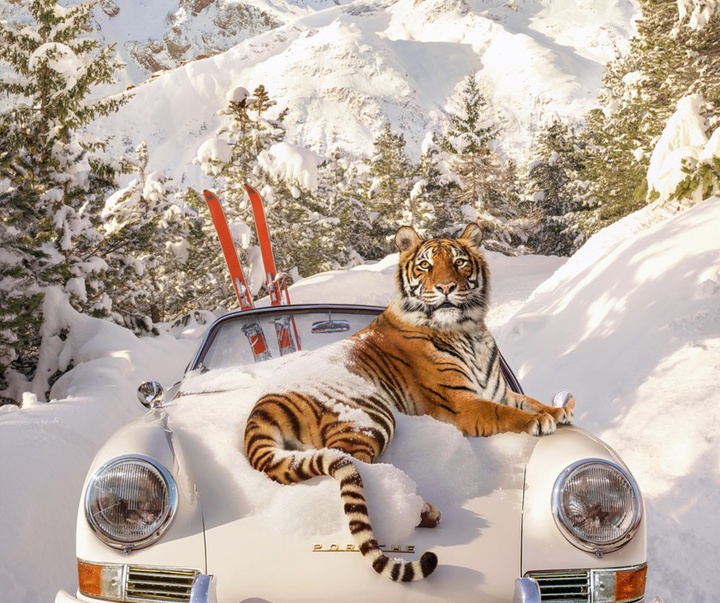 گالری آثار عکاسی پاول فوئنتس از بریتانیا