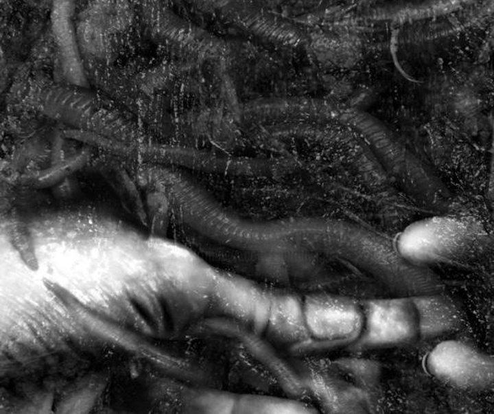 گالری آثار هنرهای دیجیتال ویسنت کریتیک از اسپانیا