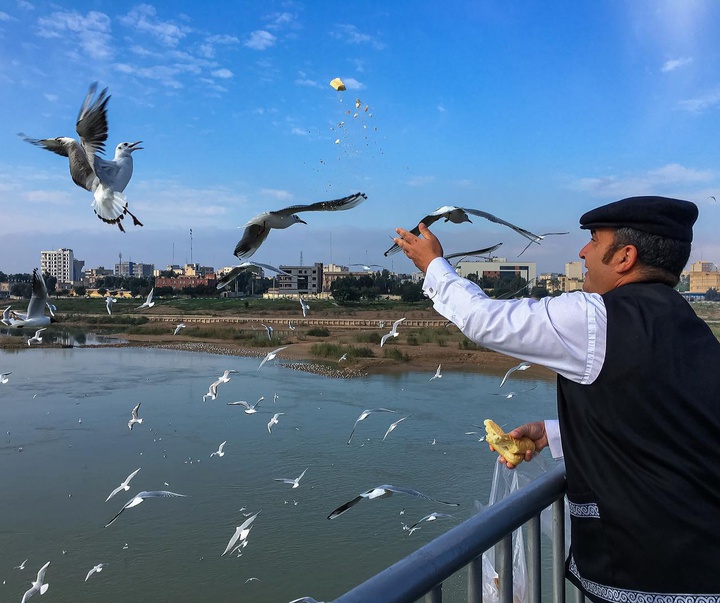 گالری آثار عکس ياسمين حسين نژاد از خوزستان