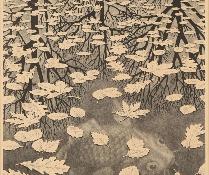 گالری آثار گرافیک موریس کورنلیس اشر از هلند