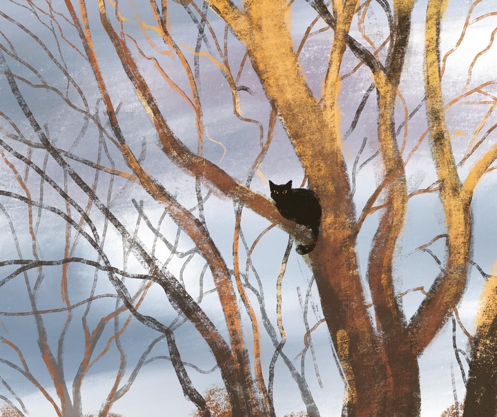 جنی بلومفیلد