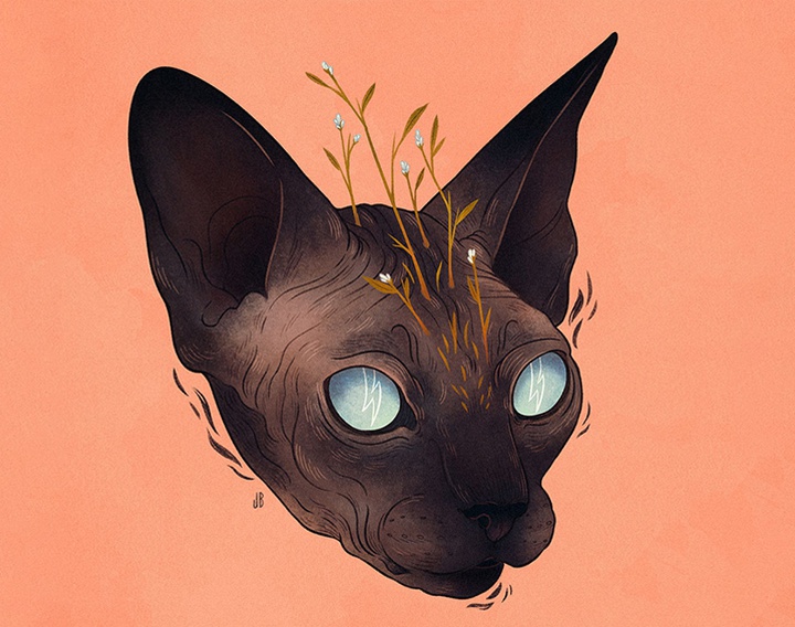 گالری آثار تصویرسازی جنا بارتون از آمریکا