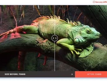 معرفی سایت کم کردن حجم عکس بدون کیفیت پایین