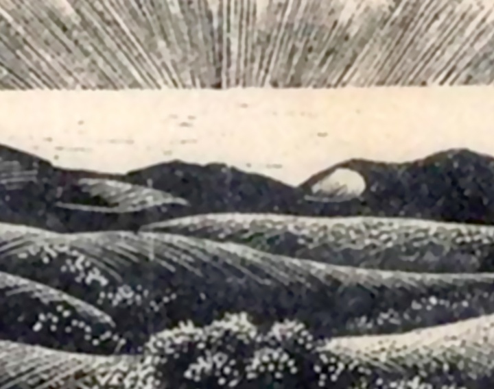 گالری آثار گرافیک کلر لیتون از آمریکا