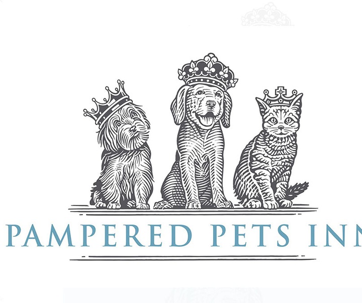 گالری آثار تصویرسازی راجر خاویر از آمریکا