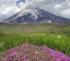 گالری عکس های نیما جبرائیلی از ایران