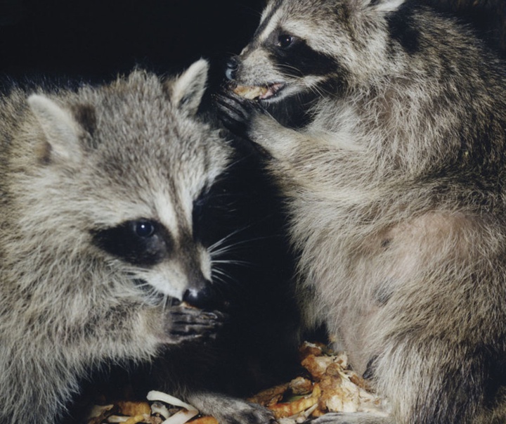 گالری آثار عکاسی گرگوری هالپرن از آمریکا