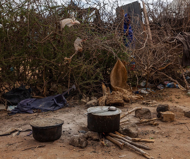گالری آثار عکاسی لالو د آلمیدا از برزیل - قسمت دوم