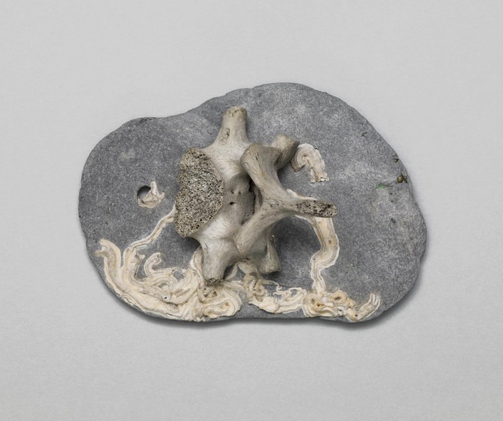 گالری آثار مجسمه و حجم ایلین آگار هنرمند آرژانتینی - بریتانیایی