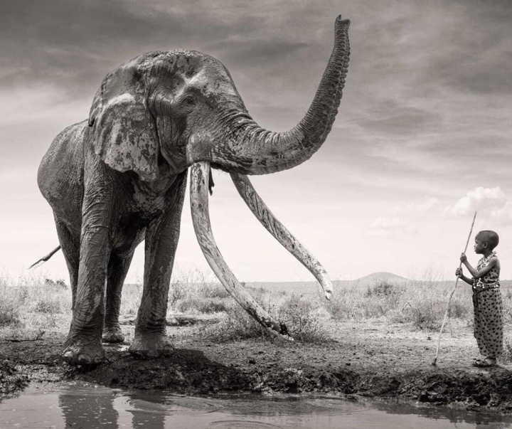 گالری عکس های جیمز لوین از انگلیس