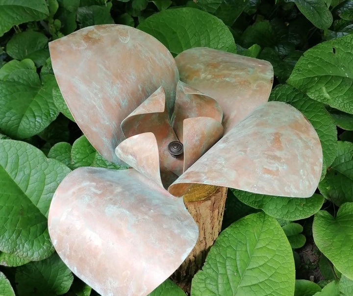هلن سولی