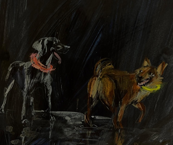 جنی بلومفیلد