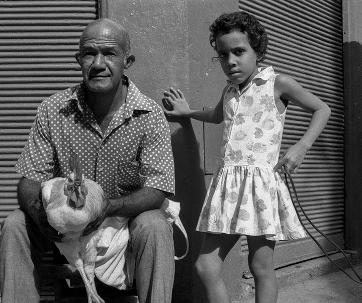 گالری آثار عکاسی داماریس بتانکور از کوبا