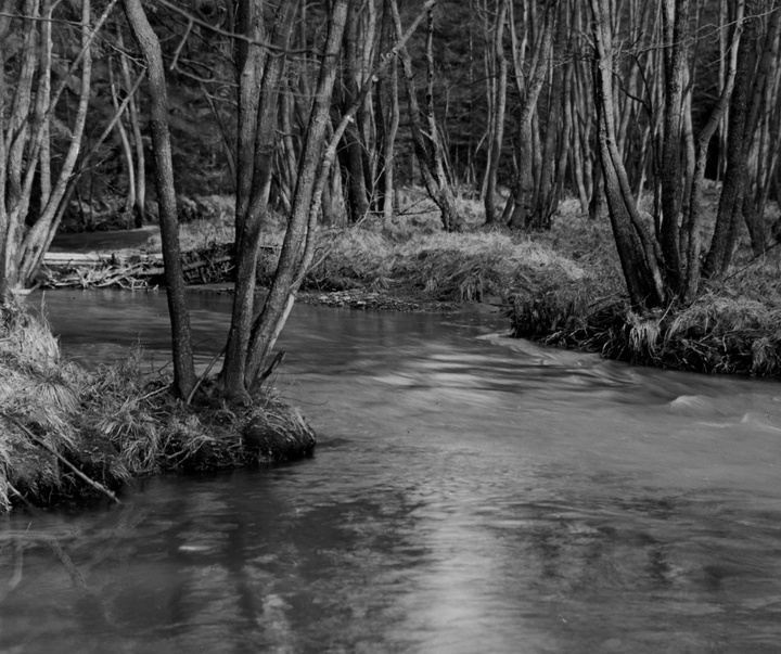 گالری آثار عکاسی آلبرت رنگر-پاتش از آلمان