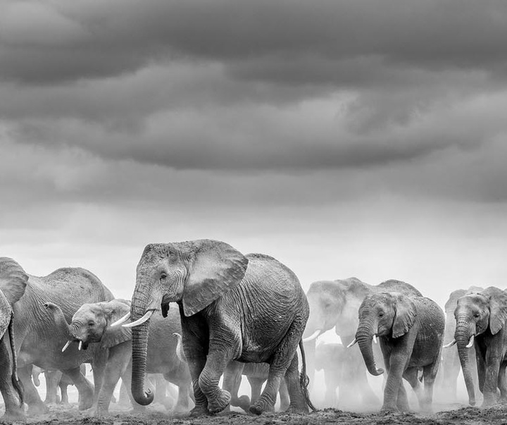 گالری عکس های جیمز لوین از انگلیس