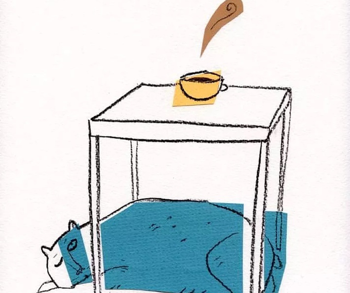 گالری آثار تصویرسازی ایزول میسنتا از آرژانتین