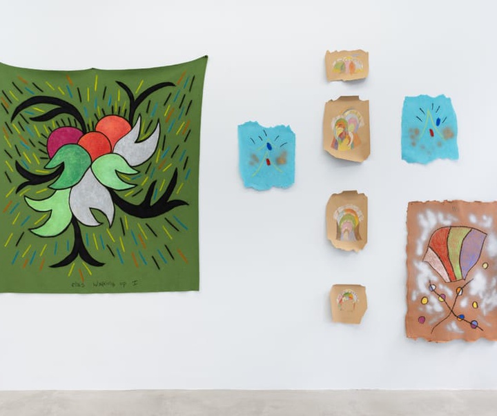 گالری تصویرسازی‌های تادسکیا از برزیل