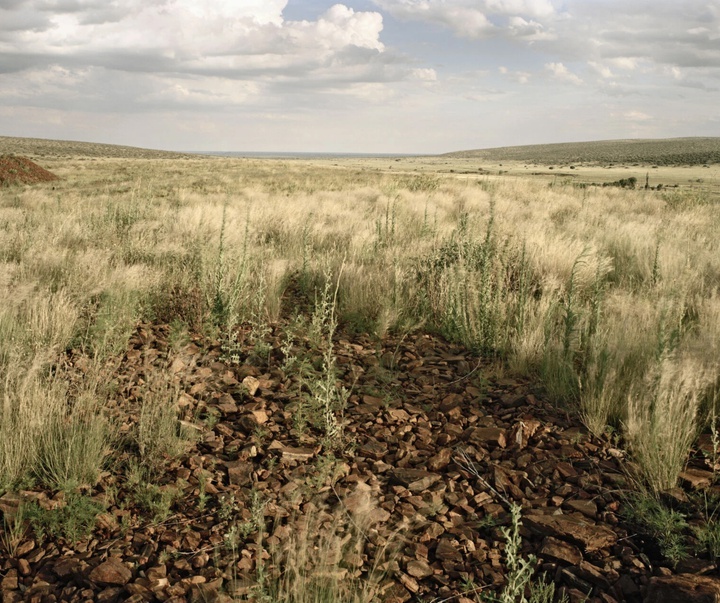 گالری آثار عکاسی دیوید گلدبلات از آفریقای جنوبی