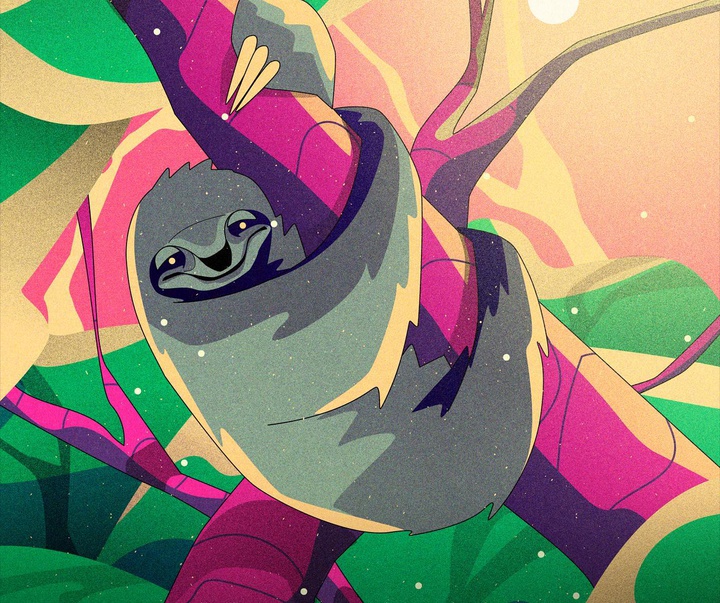 گالری تصویرسازی‌های دنیس فریتاس از برزیل