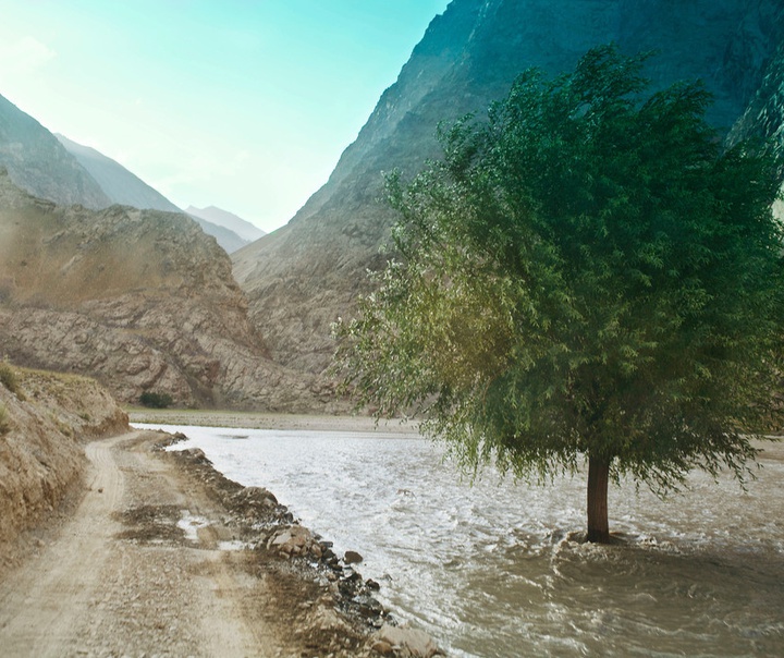 کارولین دریک