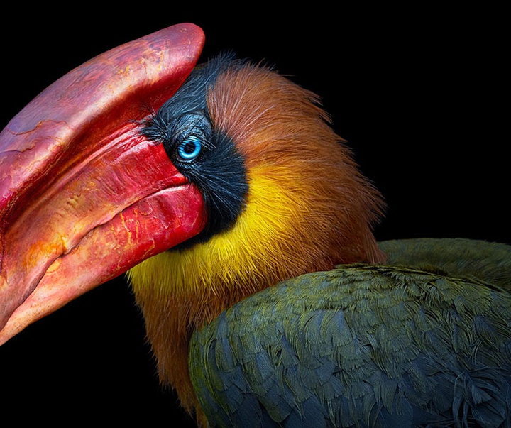 گالری عکس‌های خلاقانه تیم فلچ از بریتانیا