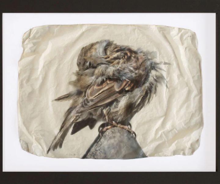 گالری نقاشی‌های پیت زالوزک از آمریکا