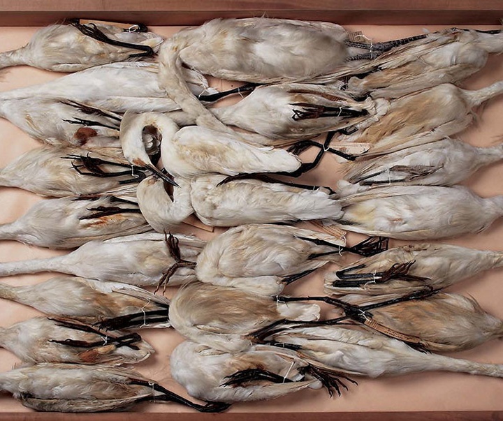 گالری منتخبی از آثار عکاسی هنرمندان آرژانیتینی