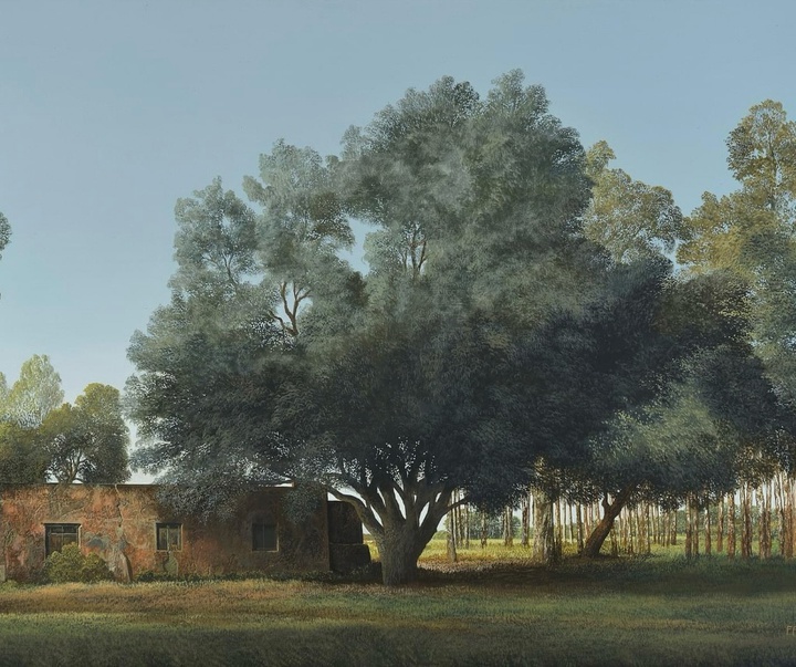 گالری آثار نقاشی آبرنگ خورخه فراسکا از آرژانتین