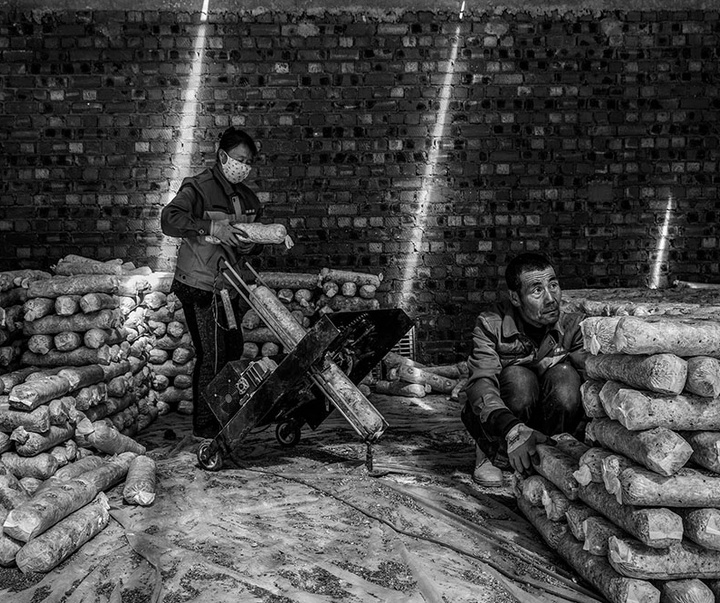 گالری آثار عکاسی لالو د آلمیدا از برزیل - قسمت اول