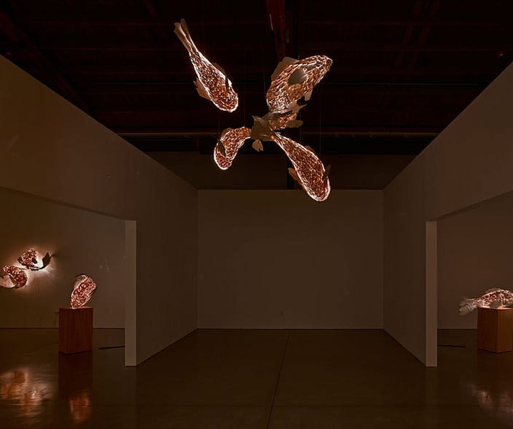 گالری آثار مجسمه و حجم فرانک گهری هنرمند آمریکایی کانادایی