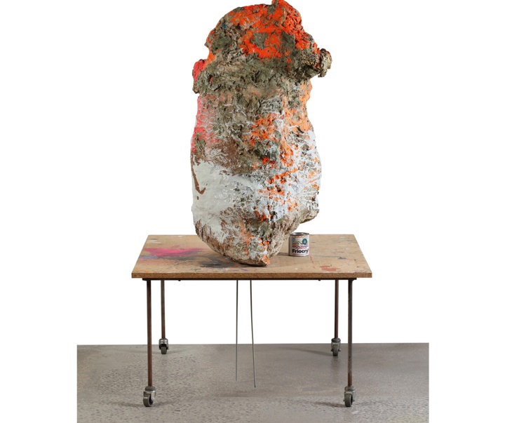 گالری آثار حجم و مجسمه فرانتس وست از اتریش