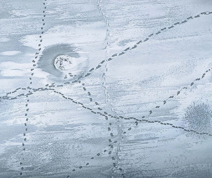 گالری عکس‌های خلاقانه تیم فلچ از بریتانیا