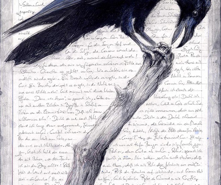 گالری آثار طراحی آندریاس نوسمان از آلمان