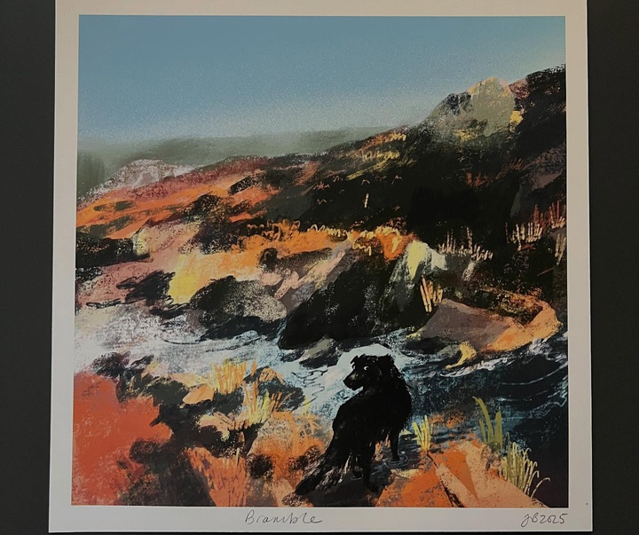 گالری تصویرسازی های جنی بلومفیلد از انگلیس