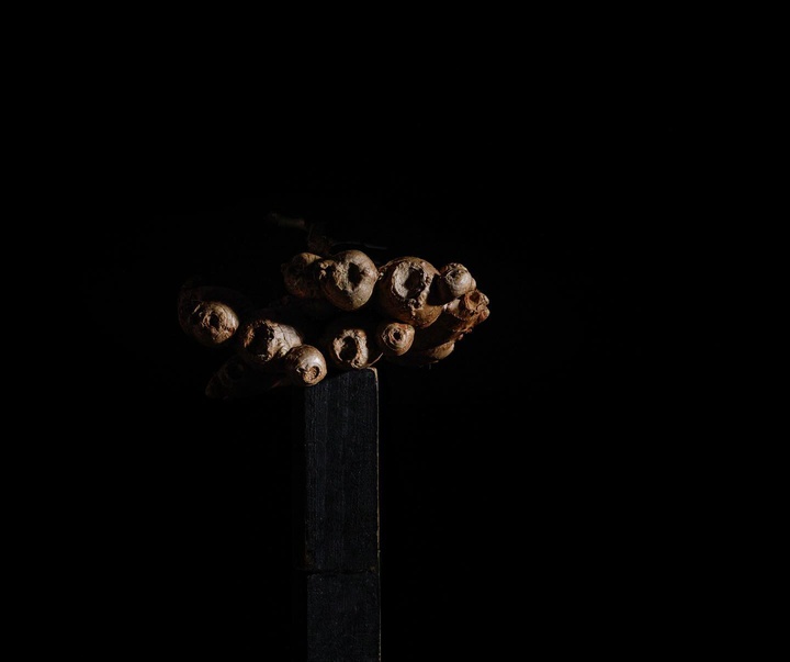 گالری عکس‌های استودیو پاتو کاتز از آرژانتین