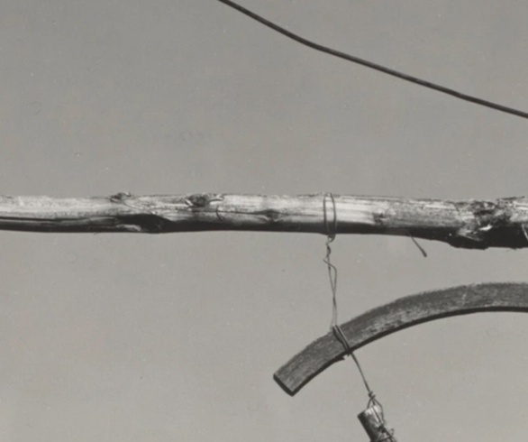 گالری عکسهای ادوارد وستون از آمریکا